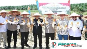 Panen Jagung 180 Ton di Jambi, Kapolda Dan Wagub Turun Langsung
