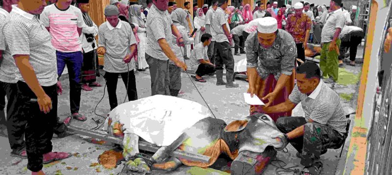 Hikmah Idul Adha: Lebih dari Sekadar Menyembelih Hewan Kurban